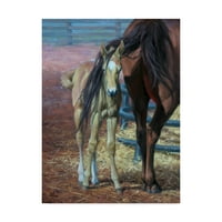 Трговска марка ликовна уметност „коњи лоша коса ден“ платно уметност од Jackек Соренсон